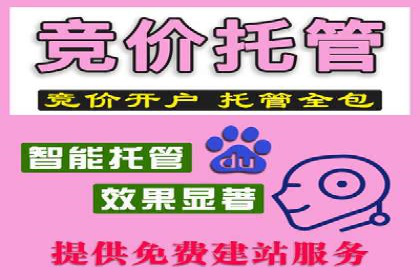 SEM托管服务助力中小企业快速崛起案例